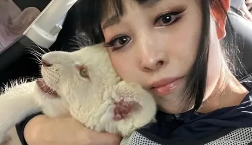 プリンセス天功の結婚は本当か？旦那や子供の噂と契約の真実