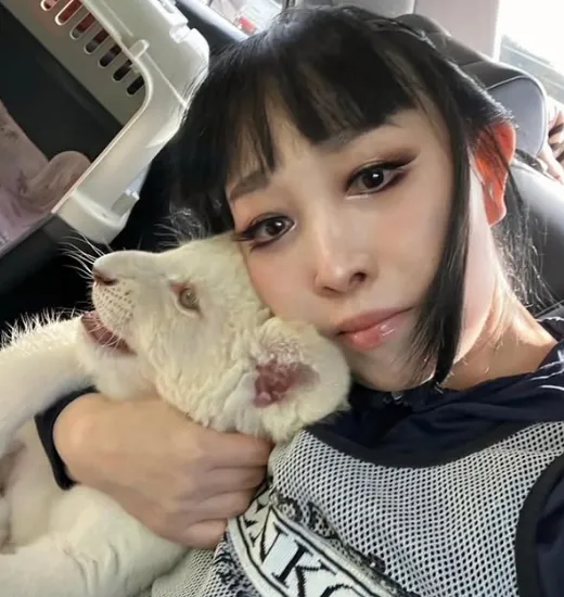 プリンセス天功の結婚は本当か？旦那や子供の噂と契約の真実